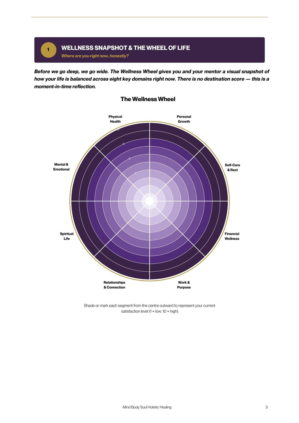 The Practitioner's Inner Mirror: A Holistic Self-Assessment Workbook