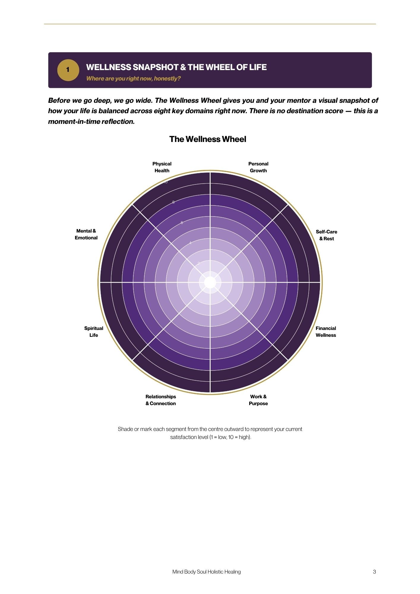 The Practitioner's Inner Mirror: A Holistic Self-Assessment Workbook