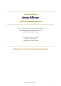 The Practitioner's Inner Mirror: A Holistic Self-Assessment Workbook