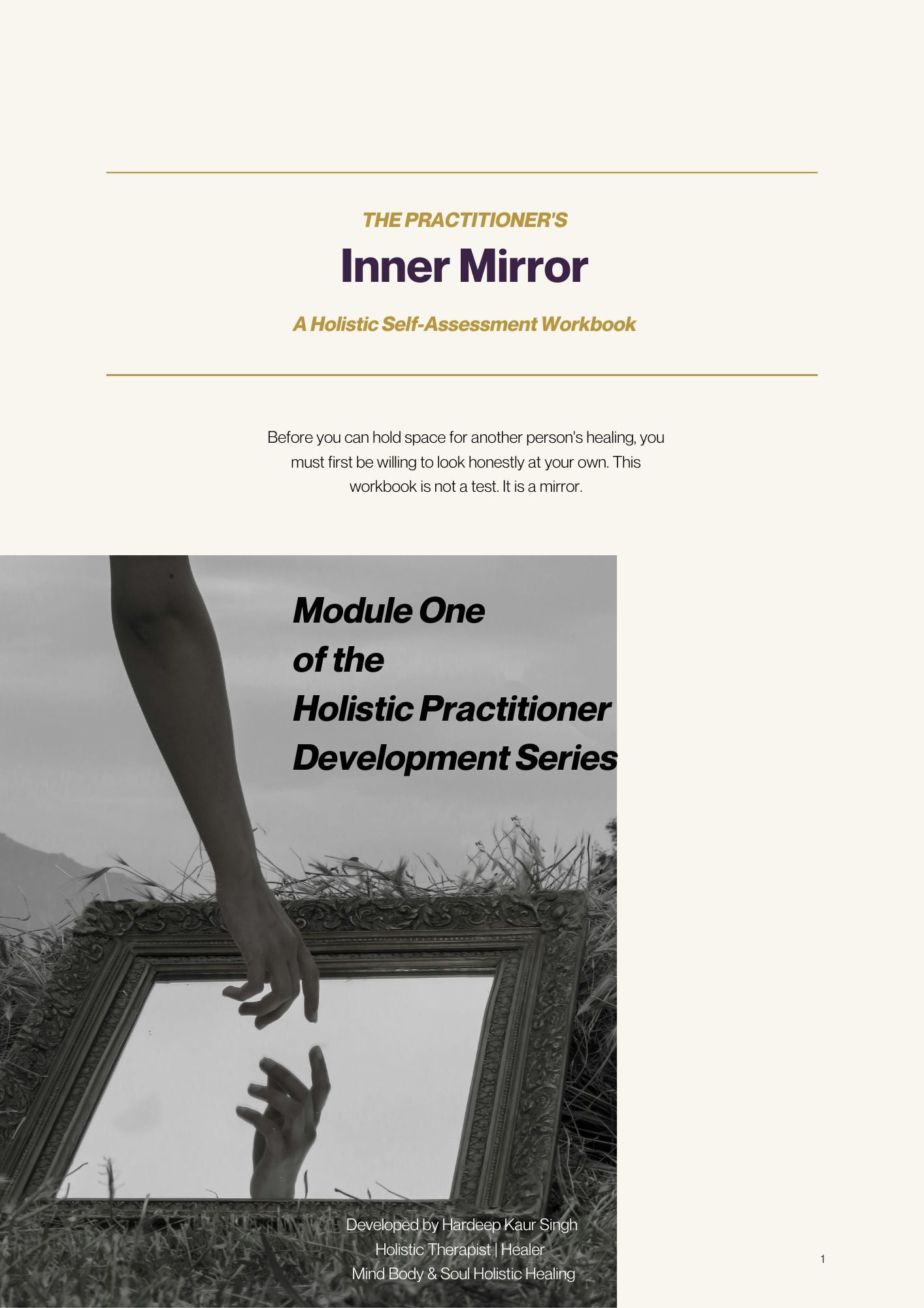 The Practitioner's Inner Mirror: A Holistic Self-Assessment Workbook